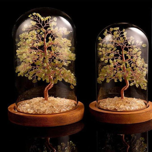 Natural Peridot - August Birthday Feng Shui Tree (Inspiration & Creativity)